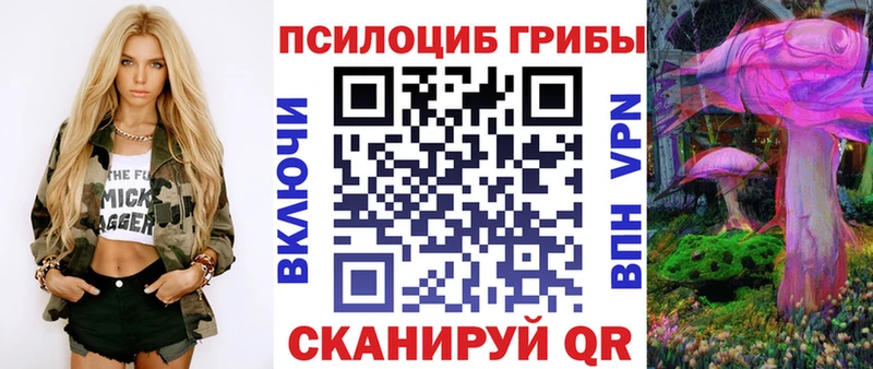 Галлюциногенные грибы Psilocybine cubensis  Олёкминск 